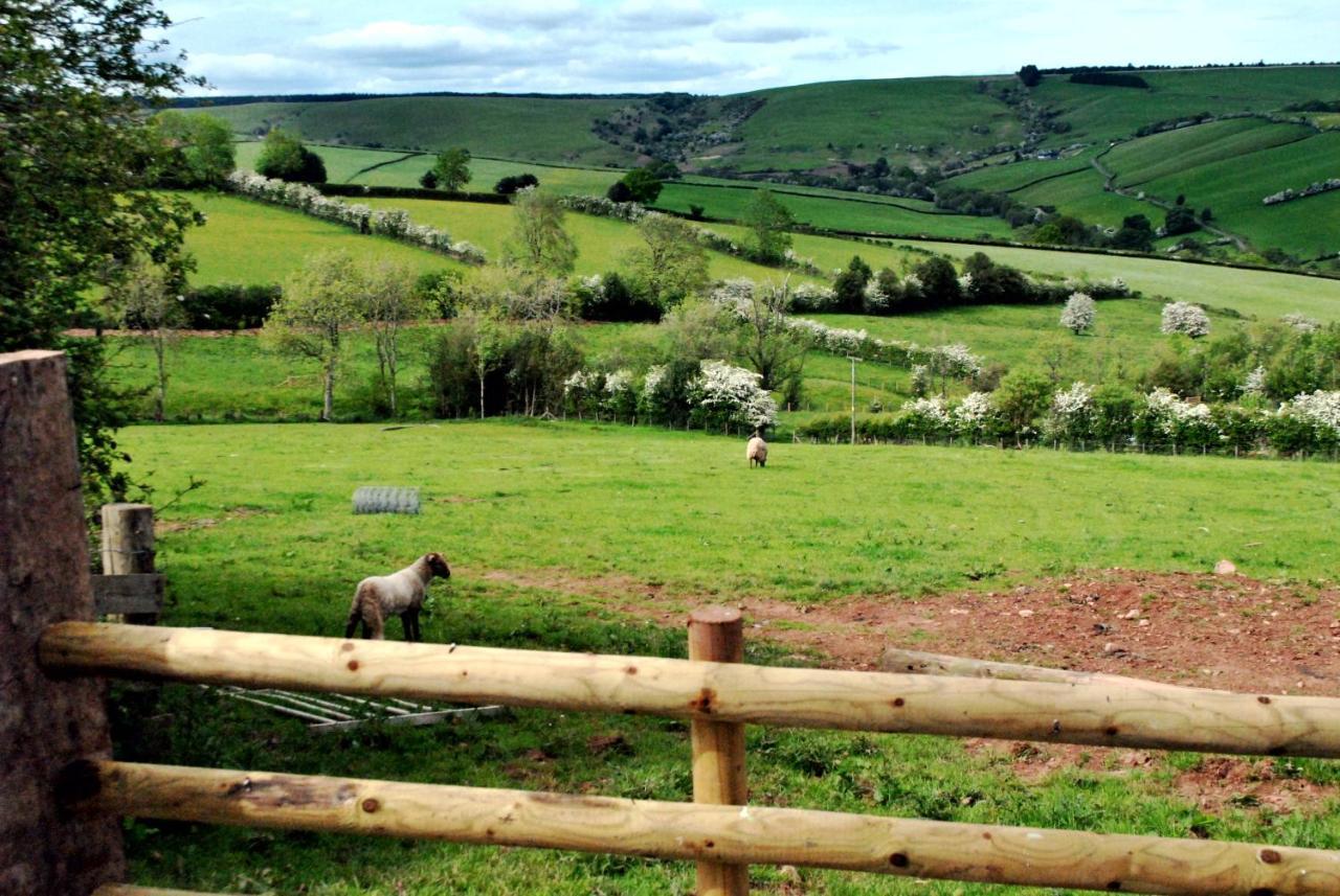 Eco Cottage Joe The Buck Craven Arms Exteriér fotografie
