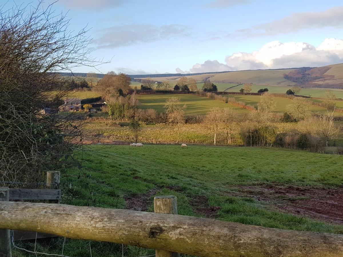 Eco Cottage Joe The Buck Craven Arms Exteriér fotografie